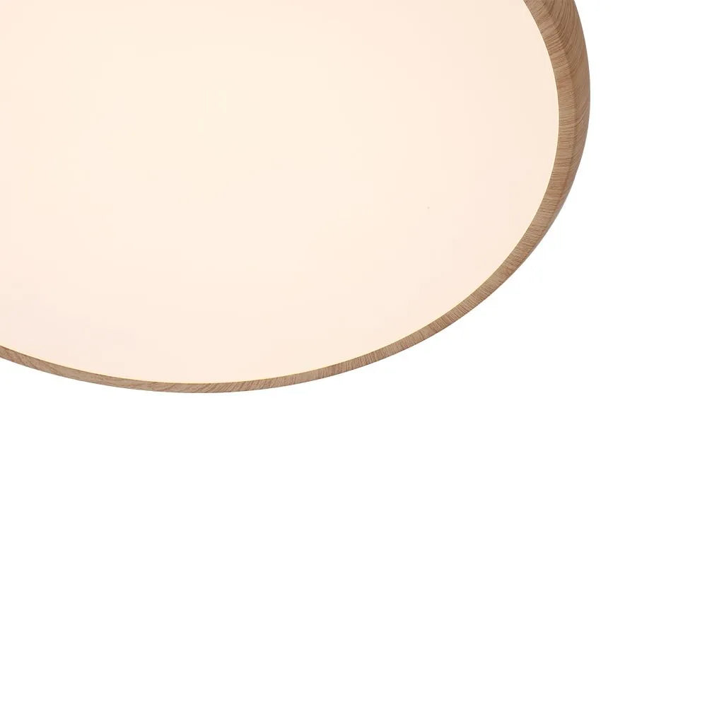 LED Oyster Light Ultra-Slim Round Flush Mount Ceiling Light for Bedroom and Living Room