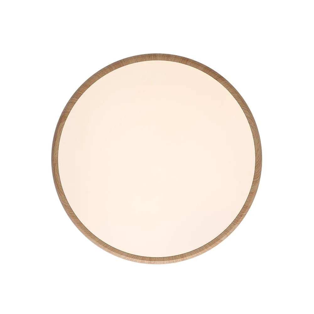 LED Oyster Light Ultra-Slim Round Flush Mount Ceiling Light for Bedroom and Living Room