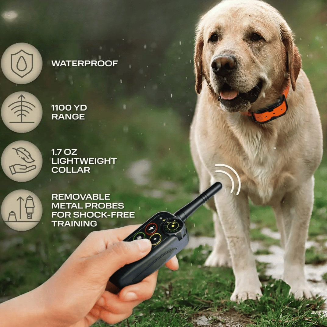 Dog Training Collar with Remote Control Waterproof Shock and Vibration E-Collar - Image 5