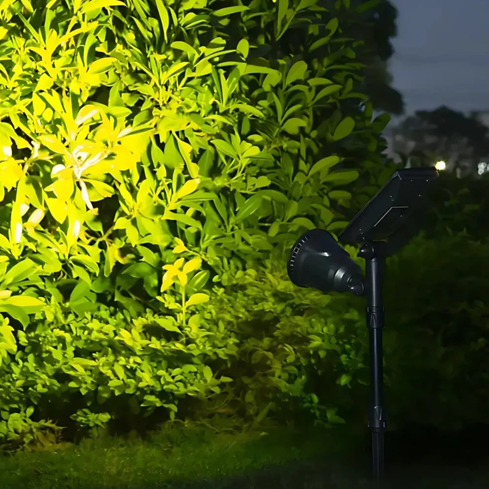 Outdoor Solar Lights with Ground Stakes and Adjustable Tilt for Garden Spotlighting - Image 15