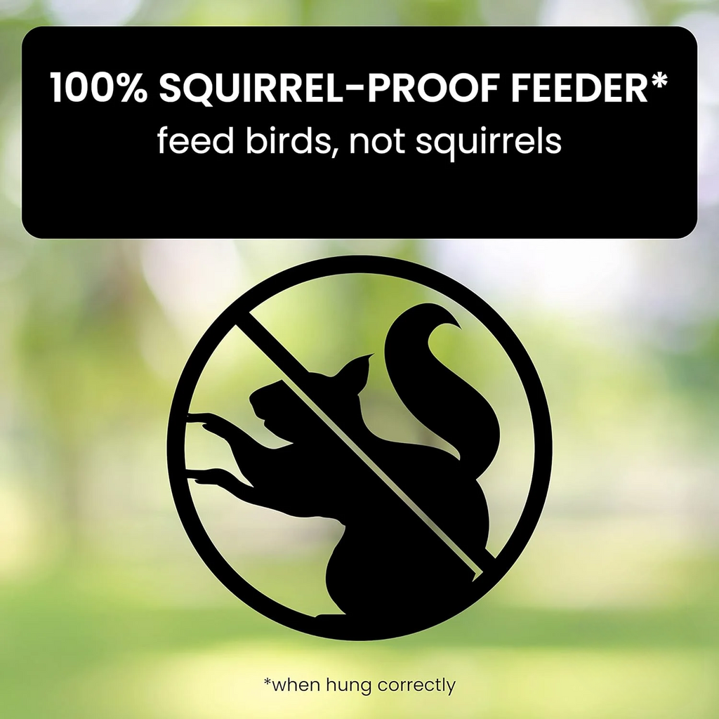 Squirrel Proof Bird Feeder with Weight Activated Spinning Perch and Hanging Tube Design - Image 2